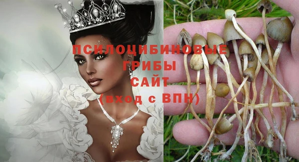 2c-b Вяземский