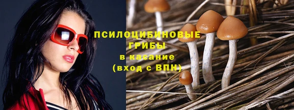2c-b Вяземский