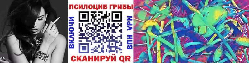 Псилоцибиновые грибы Psilocybine cubensis Купить где Купино