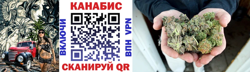 Бошки Шишки план  Купить где  Купино 